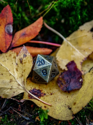 A D20 lying in autumn leaves.